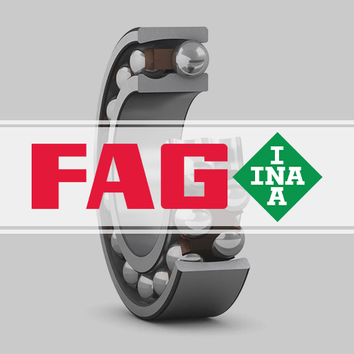 德國(guó)FAG/INA軸承